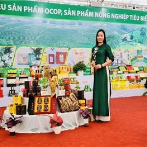 CÔNG TY TNHH DỊCH VỤ THƯƠNG MẠI SON NGỌC