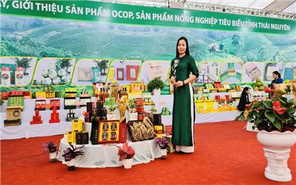 CÔNG TY TNHH DỊCH VỤ THƯƠNG MẠI SON NGỌC
