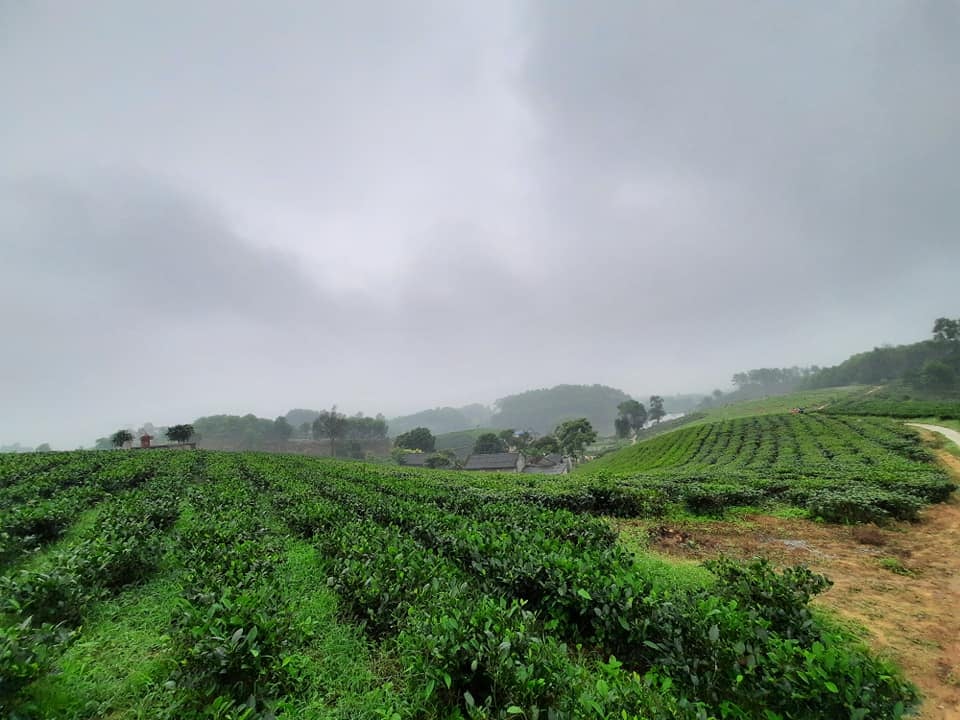 CÔNG TY CỔ PHẦN NÔNG NGHIỆP HDT