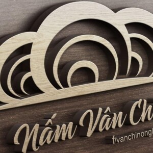 Video giới thiệu dự án khởi nghiệp Viên nang nấm Vân chi