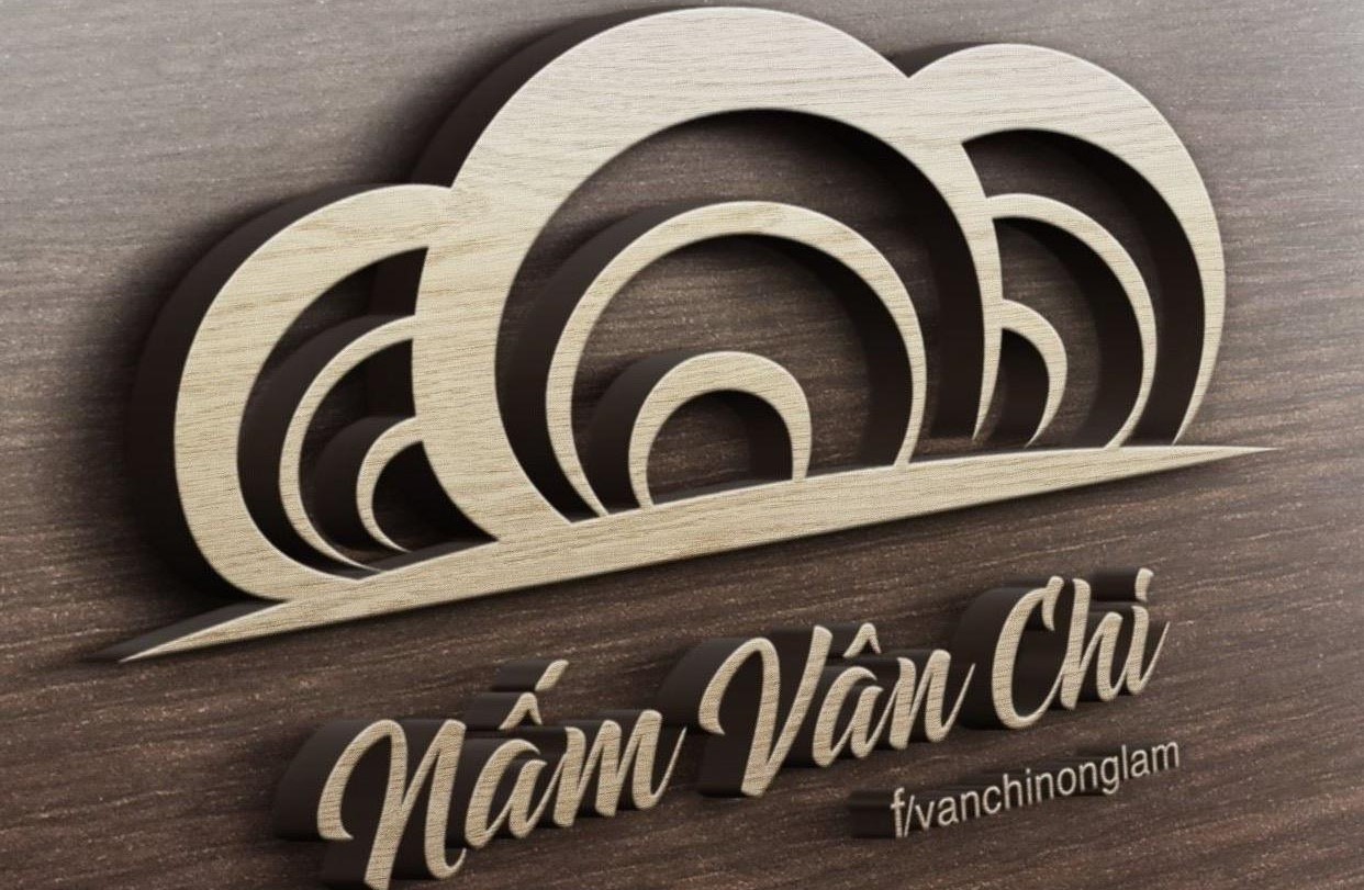 Video giới thiệu dự án khởi nghiệp Viên nang nấm Vân chi