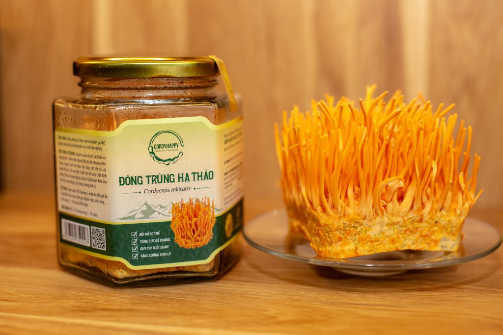 Đông trùng Hạ thảo tươi