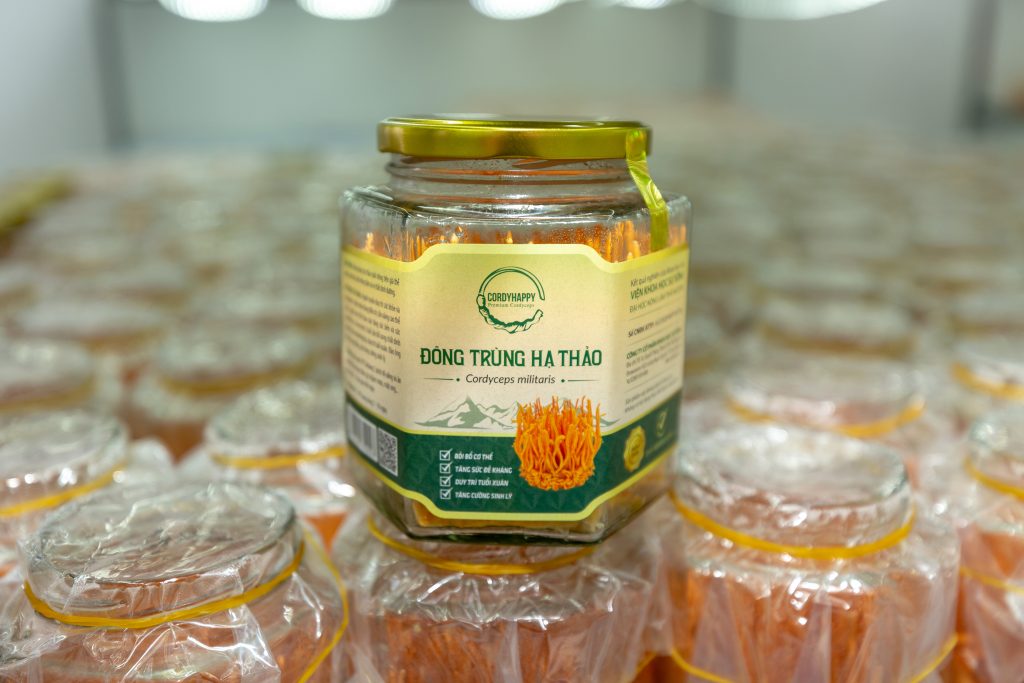 Đông trùng Hạ thảo tươi