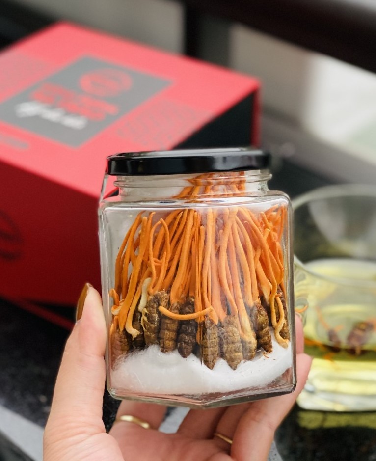 Đông trùng Hạ thảo Ký chủ – Hộp 10 gram