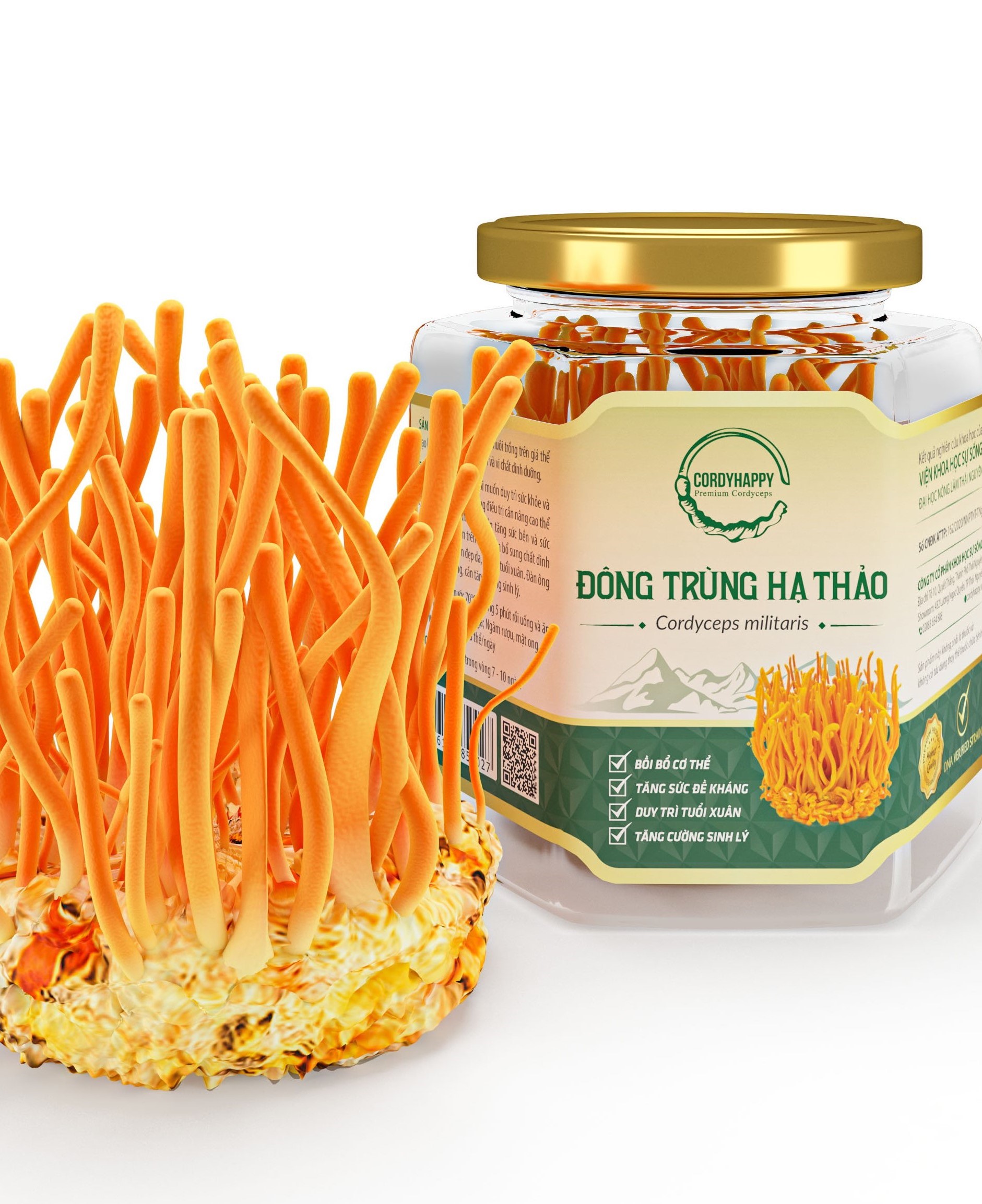 Đông trùng Hạ thảo tươi