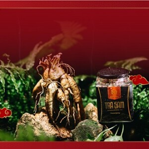 Cua biển Năm Căn Cà Mau